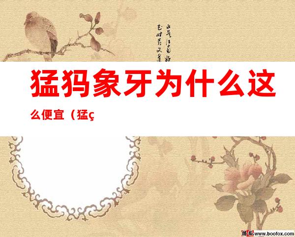 猛犸象牙为什么这么便宜（猛犸象牙为什么这么便宜了）