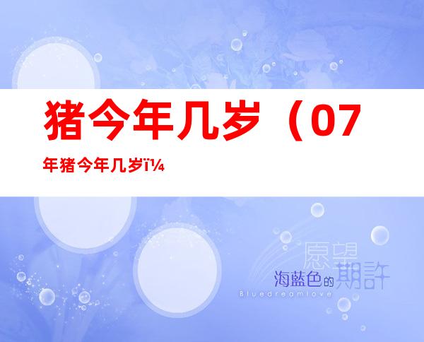 猪今年几岁（07年猪今年几岁）