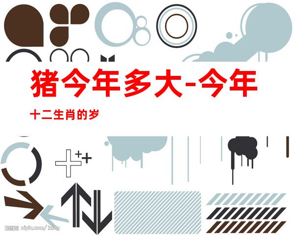 猪今年多大-今年十二生肖的岁数表