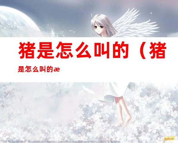 猪是怎么叫的(猪是怎么叫的拟声词)