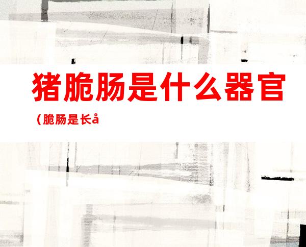 猪脆肠是什么器官(脆肠是长在猪哪个部位女人能吃吗)