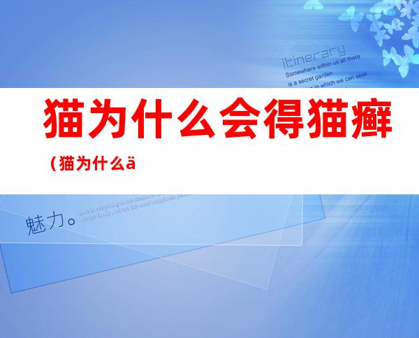 猫为什么会得猫癣(猫为什么会得猫癣怎么治疗)