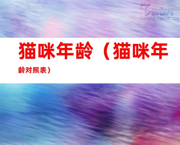 猫咪年龄(猫咪年龄对照表)