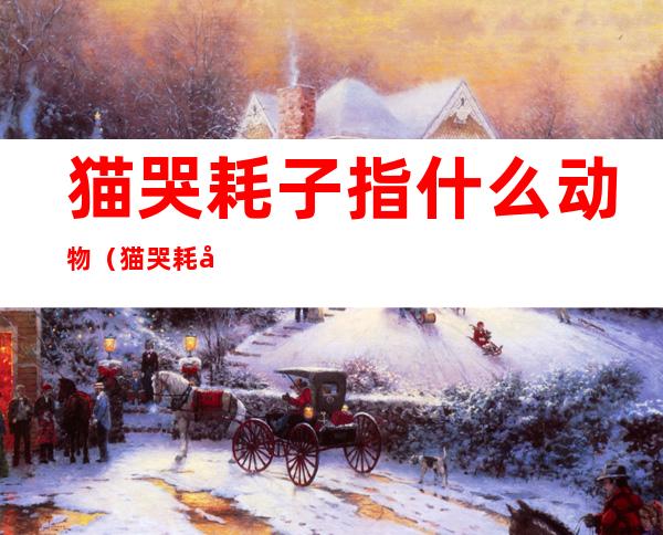 猫哭耗子指什么动物（猫哭耗子是什么成语）