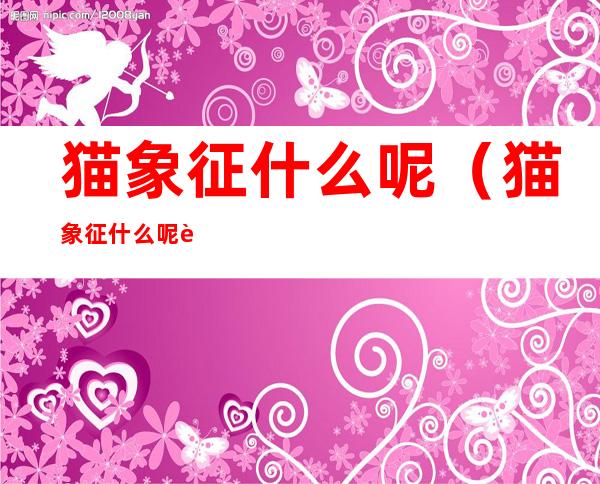 猫象征什么呢(猫象征什么呢英语)