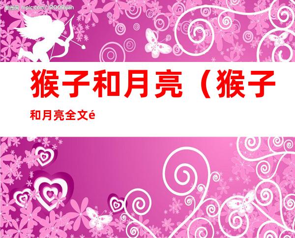 猴子和月亮(猴子和月亮全文阅读)