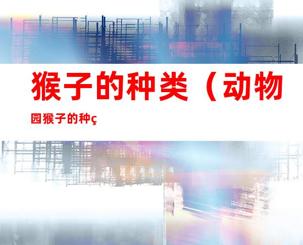 猴子的种类(动物园猴子的种类)