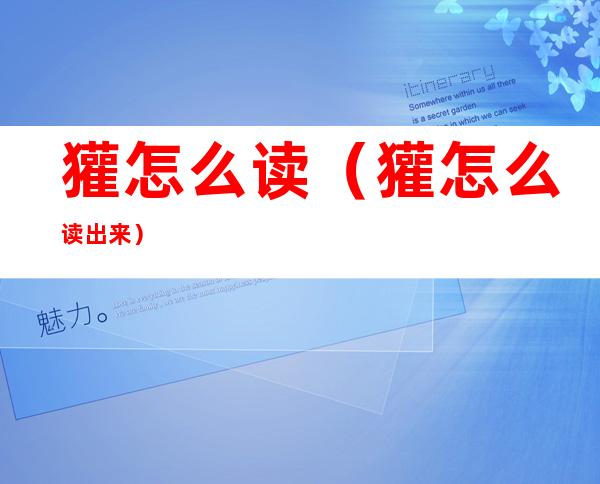 獾怎么读(獾怎么读出来)