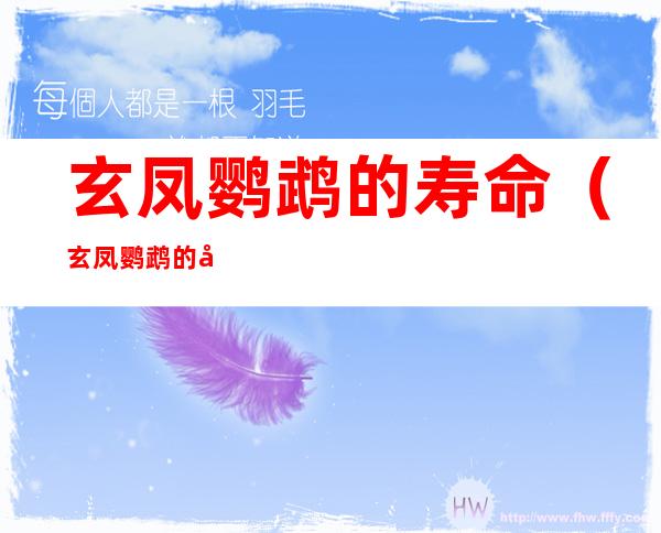 玄凤鹦鹉的寿命（玄凤鹦鹉的寿命是几年）