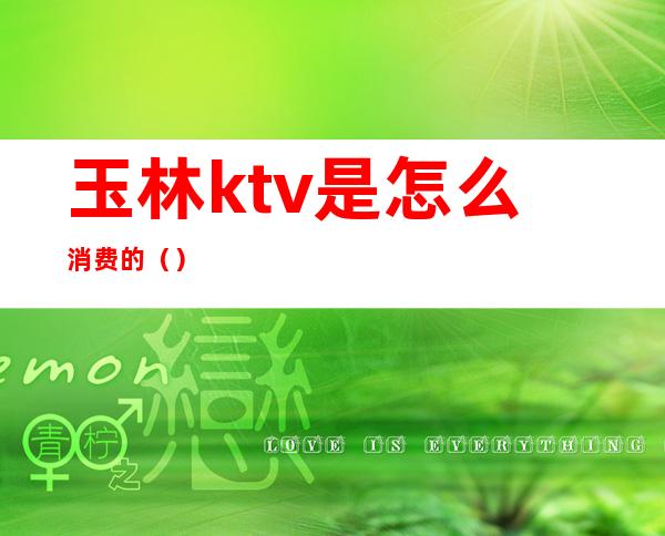 玉林ktv是怎么消费的()