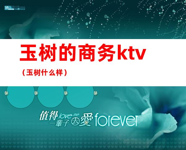 玉树的商务ktv(玉树什么样)