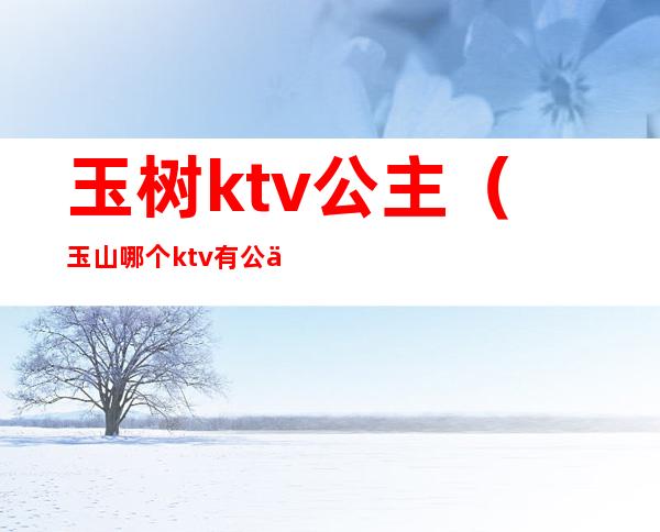 玉树ktv公主(玉山哪个ktv有公主)