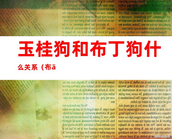 玉桂狗和布丁狗什么关系(布丁狗跟玉桂狗什么关系)