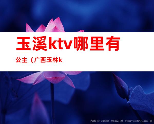 玉溪ktv哪里有公主(广西玉林ktv的公主多少钱)