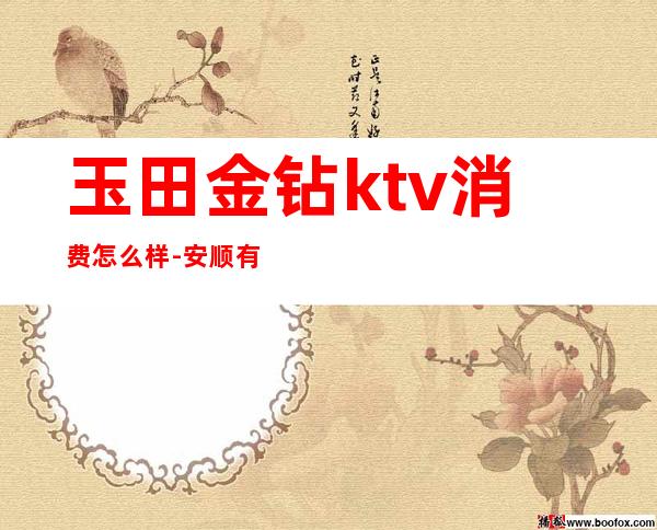 玉田金钻ktv消费怎么样-安顺有哪些好点的酒吧
