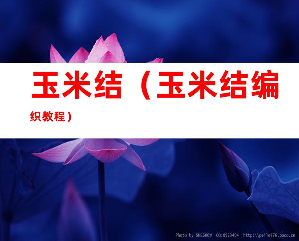 玉米结（玉米结编织教程）