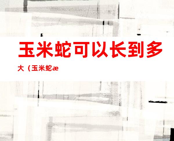 玉米蛇可以长到多大(玉米蛇最大能长多大)