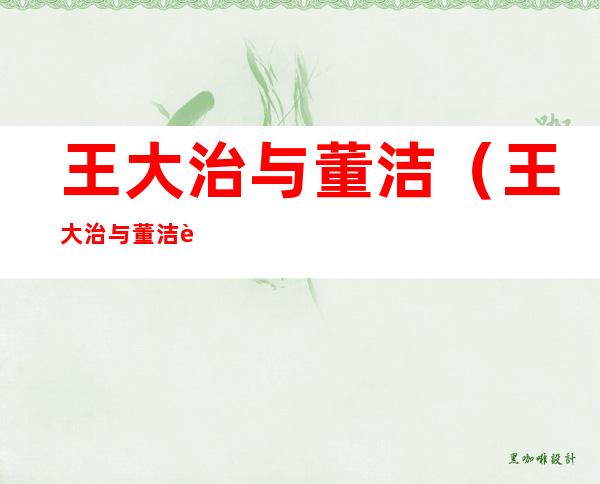王大治与董洁(王大治与董洁谁厉害)