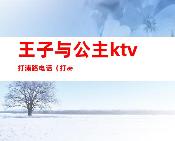 王子与公主ktv打浦路电话（打浦桥王子公主ktv电话）