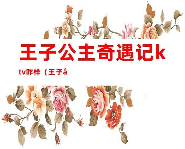 王子公主奇遇记ktv咋样(王子和公主奇遇歌厅)