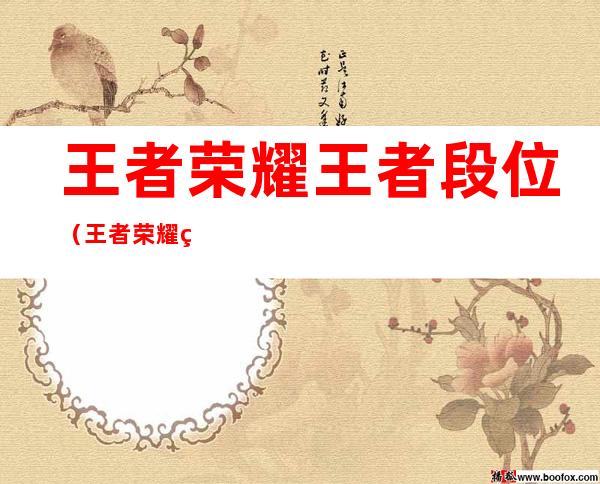 王者荣耀王者段位（王者荣耀王者段位不打会掉星吗）