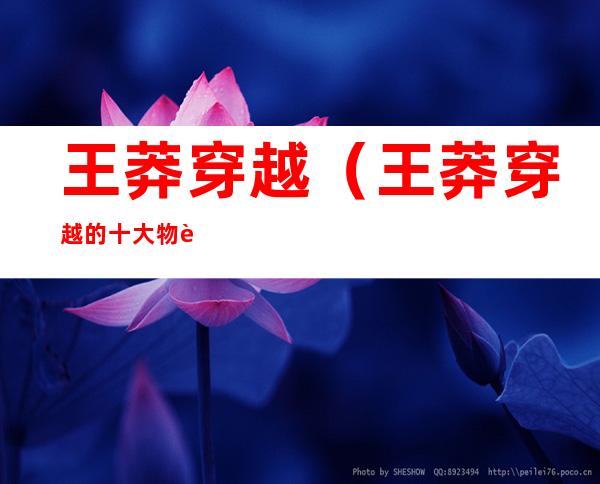 王莽穿越（王莽穿越的十大物证）
