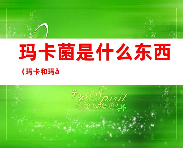 玛卡菌是什么东西(玛卡和玛卡菌)