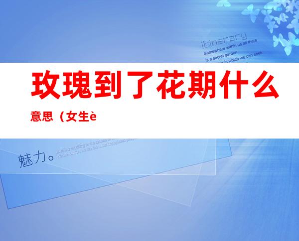 玫瑰到了花期什么意思（女生说玫瑰到了花期什么意思）