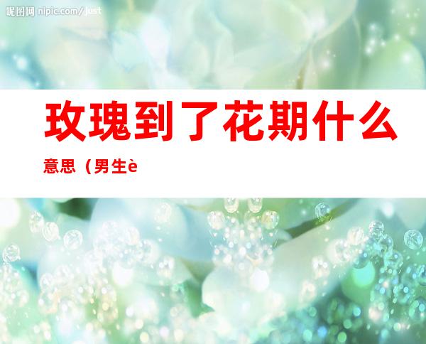 玫瑰到了花期什么意思(男生说玫瑰到了花期什么意思)