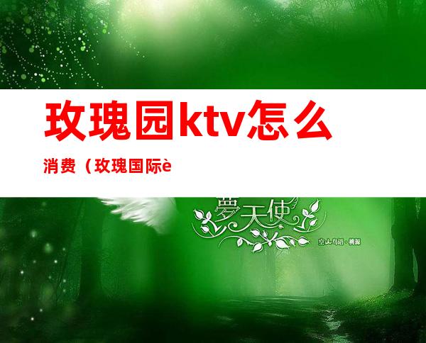 玫瑰园ktv怎么消费（玫瑰国际自助ktv）