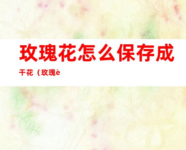 玫瑰花怎么保存成干花(玫瑰花怎么保存成干花图片)