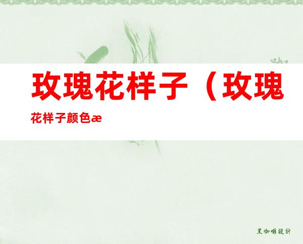 玫瑰花样子(玫瑰花样子颜色气味其他怎么写)