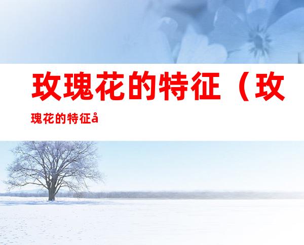 玫瑰花的特征(玫瑰花的特征和特点)