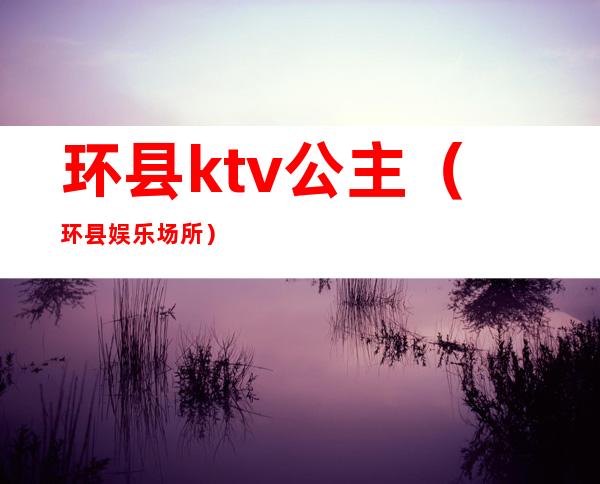 环县ktv公主(环县娱乐场所)
