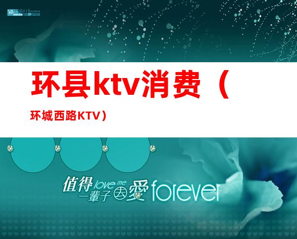 环县ktv消费(环城西路KTV)