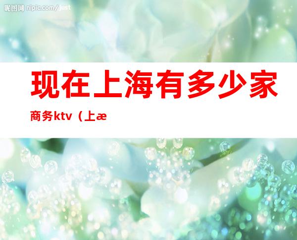 现在上海有多少家商务ktv(上海哪几家)
