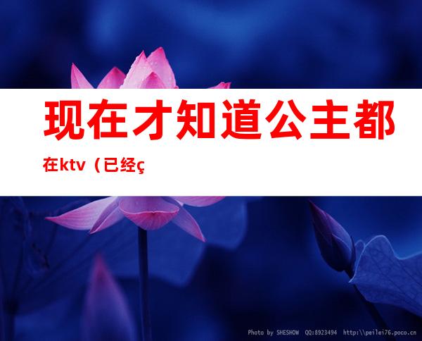 现在才知道公主都在ktv（已经的公主）