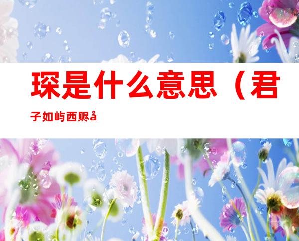 琛是什么意思（君子如屿西赆南琛是什么意思）