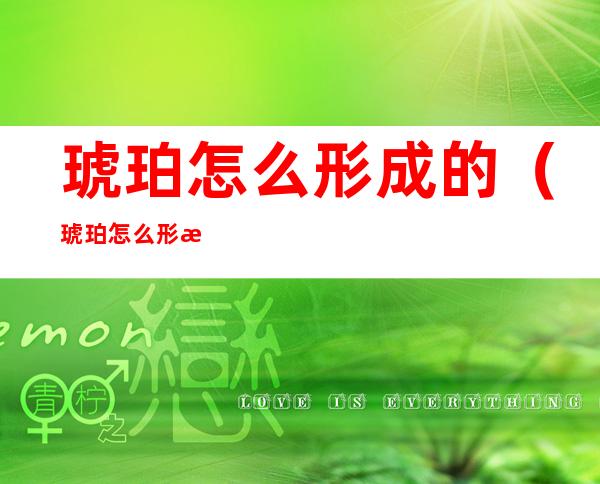 琥珀怎么形成的(琥珀怎么形成的图片)