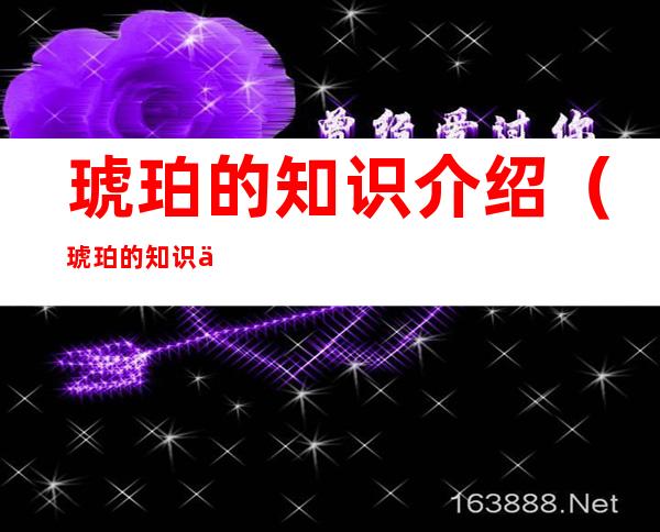 琥珀的知识介绍（琥珀的知识介绍一句话）