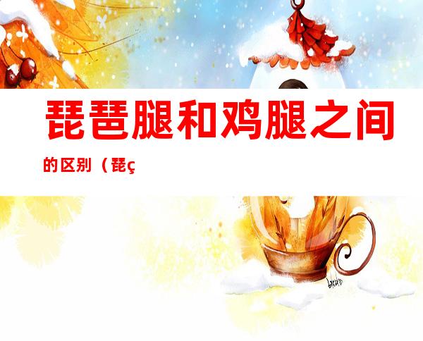 琵琶腿和鸡腿之间的区别（琵琶腿和鸡腿之间的区别图片）