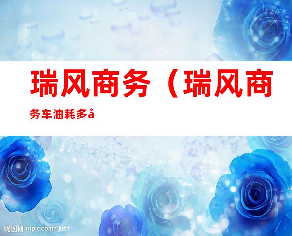 瑞风商务(瑞风商务车油耗多少?)