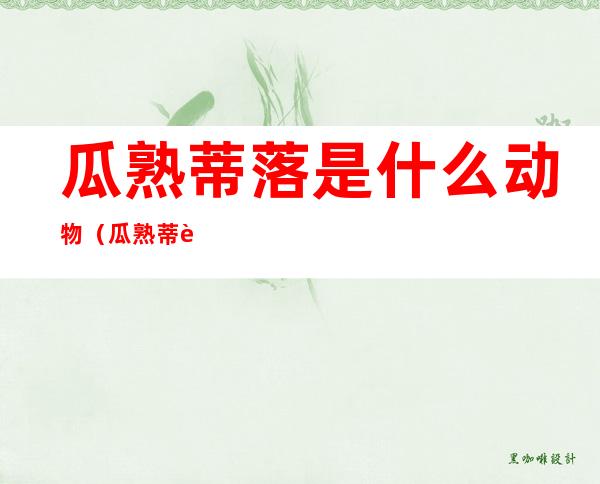 瓜熟蒂落是什么动物(瓜熟蒂落圆溜溜的动物)