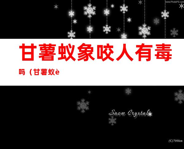 甘薯蚁象咬人有毒吗(甘薯蚁象咬人后怎么样)