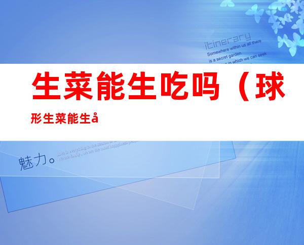 生菜能生吃吗(球形生菜能生吃吗)