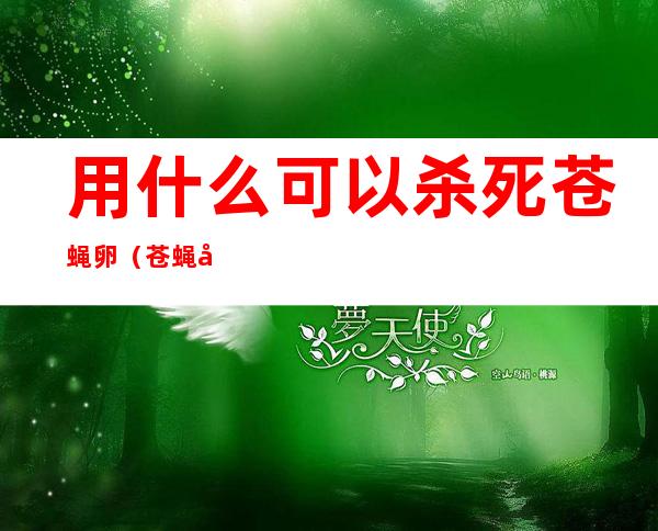 用什么可以杀死苍蝇卵(苍蝇卵用杀虫剂可以杀吗)