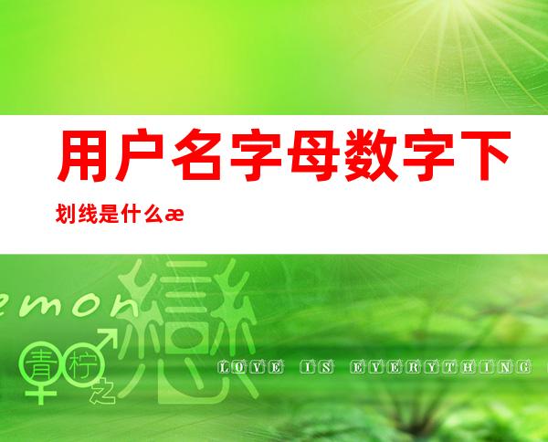 用户名字母数字下划线是什么意思(用户名为字母数字下划线咋写)