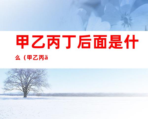 甲乙丙丁后面是什么(甲乙丙丁后面是什么顺序从高到低)
