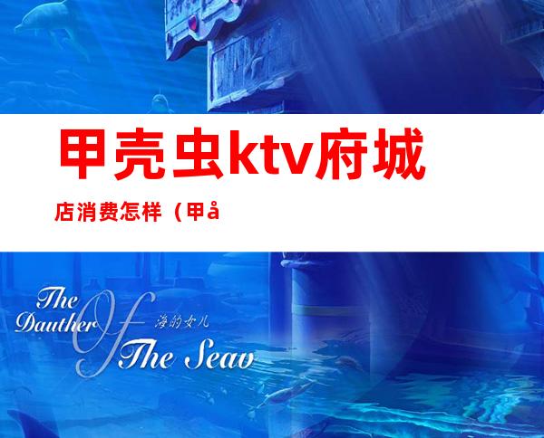 甲壳虫ktv府城店消费怎样(甲壳虫ktv文昌店)