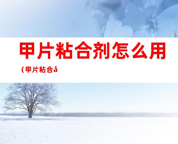 甲片粘合剂怎么用(甲片粘合剂怎么用的)